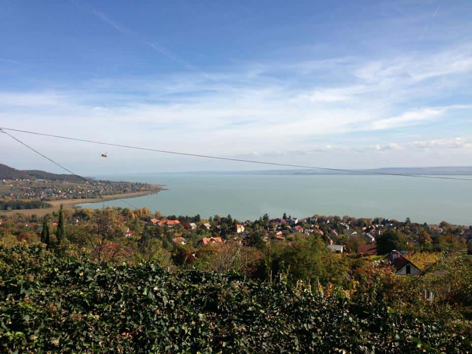 sipos-borhaz-panorama