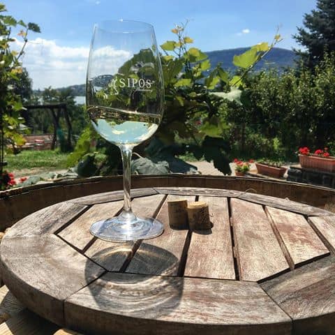 sipos-borhaz-es-vendeghaz