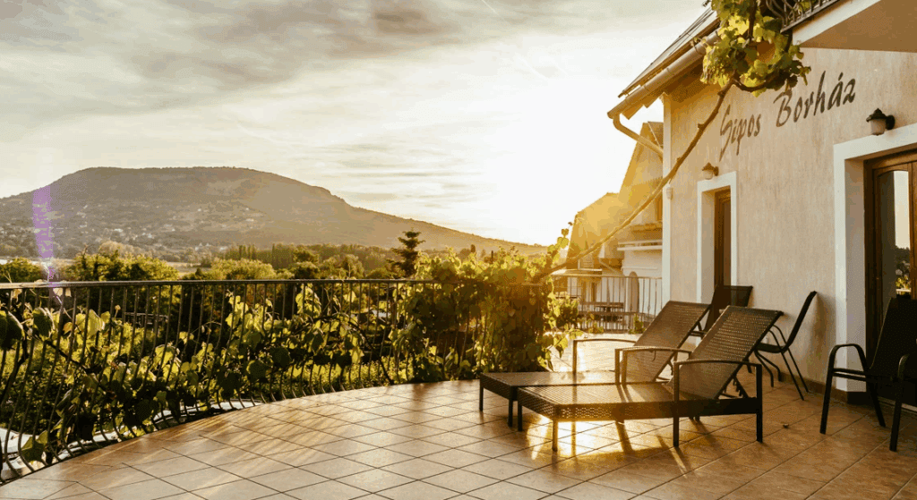 sipos-borhaz-es-vendeghaz